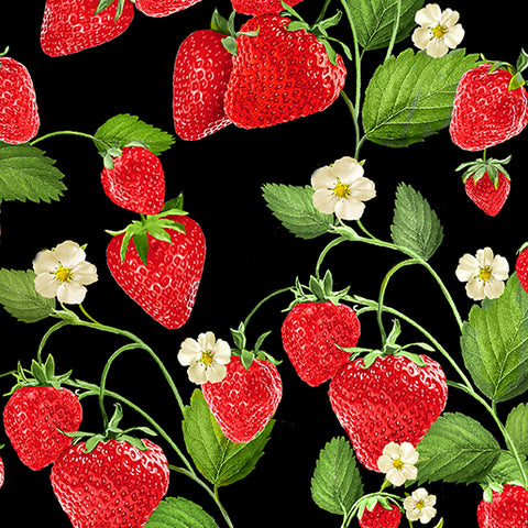 Strawberry Fields Forever 10x10 Pack